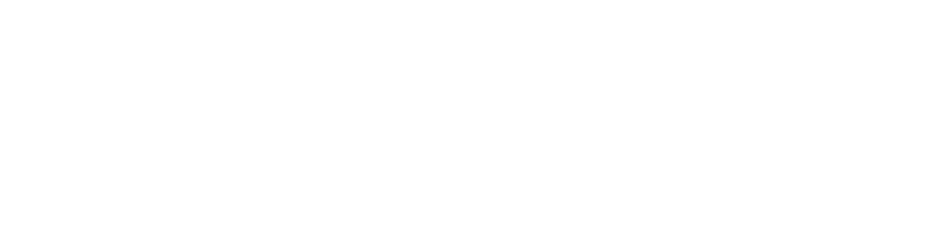 Nordic Wellness